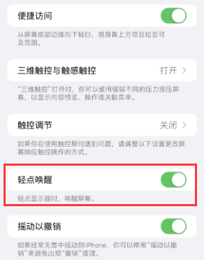 淮阳苹果授权维修站分享iPhone轻点无法唤醒怎么办 