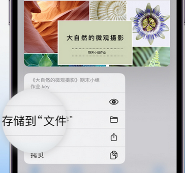 淮阳apple维修中心分享iPhone文件应用中存储和找到下载文件