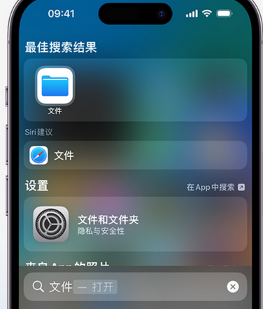 淮阳apple维修中心分享iPhone文件应用中存储和找到下载文件 