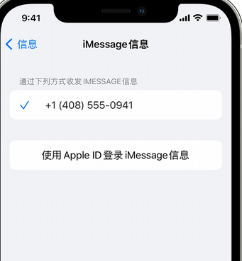 淮阳apple维修iPhone上无法正常发送iMessage信息 