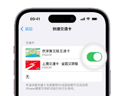 淮阳apple维修点分享iPhone上更换Apple Pay快捷交通卡手绘卡面 