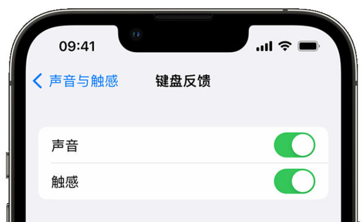 淮阳苹果手机维修分享iPhone 14触感键盘使用方法 