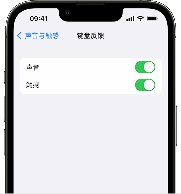 淮阳苹果14维修店分享如何在 iPhone 14 机型中使用触感键盘 