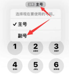 淮阳苹果14维修店分享iPhone 14 Pro Max使用副卡打电话的方法 