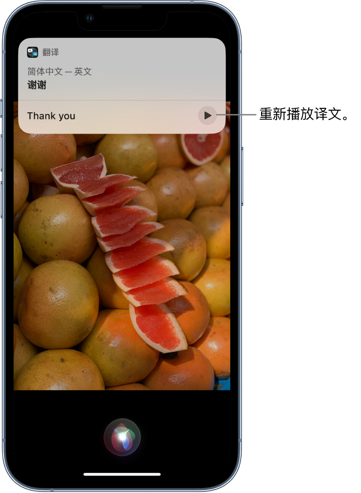 淮阳苹果14维修分享 iPhone 14 机型中使用 Siri：了解 Siri 能帮你做什么 