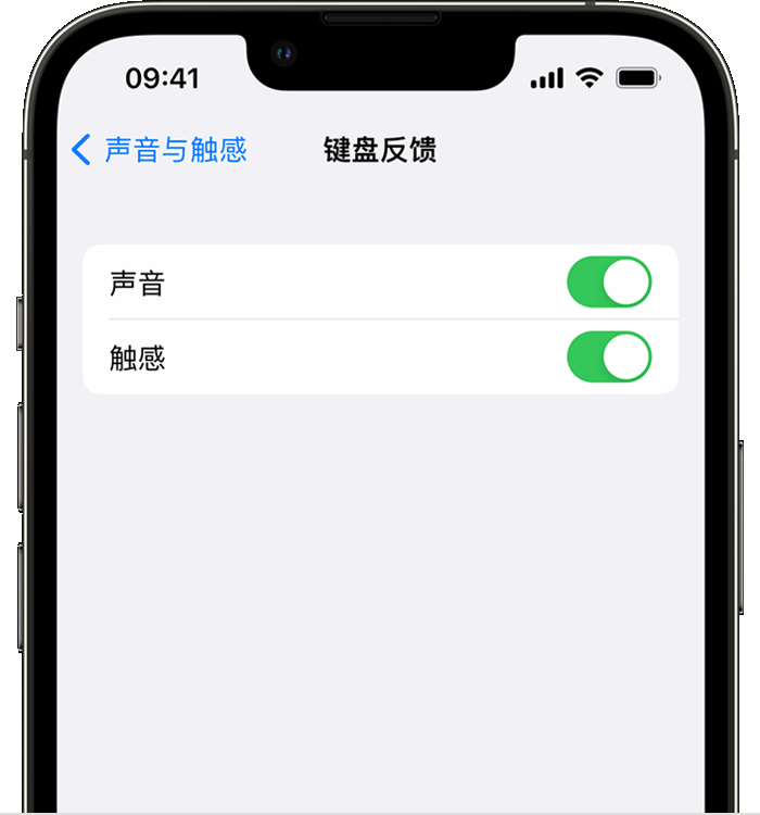 淮阳苹果14维修分享iPhone 14 系列机型如何开启键盘声音或触感反馈 