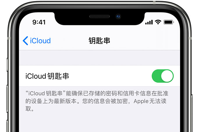 淮阳苹果手机维修分享在 iPhone 上开启 iCloud 钥匙串之后会储存哪些信息 