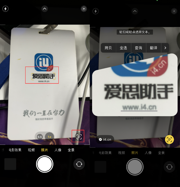 淮阳苹果手机维修分享升级iOS 16后如何通过相机翻译文本 