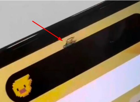 淮阳苹果14维修分享iPhone 14 Pro Max灵动岛怎么养宠物 