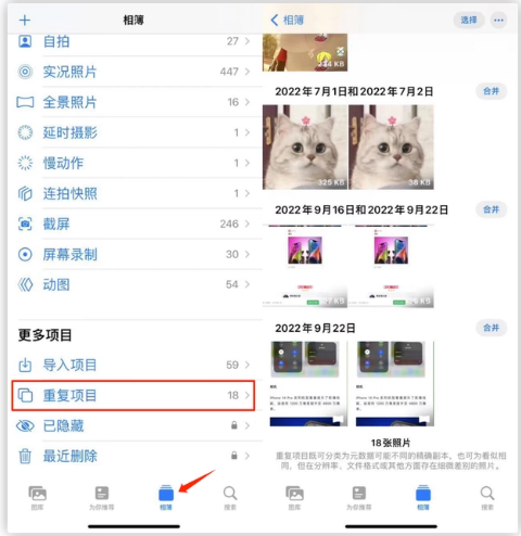 淮阳苹果手机维修分享iOS 16 中相册重复项目功能使用方法 