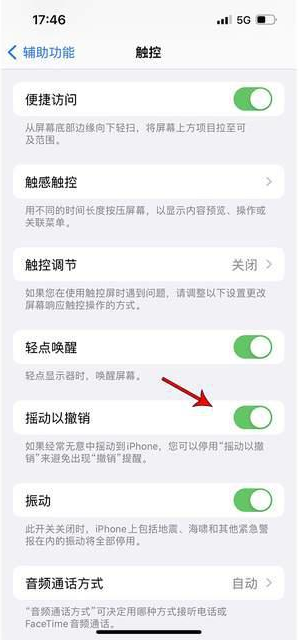 淮阳苹果手机维修分享iPhone手机如何设置摇一摇删除文字 