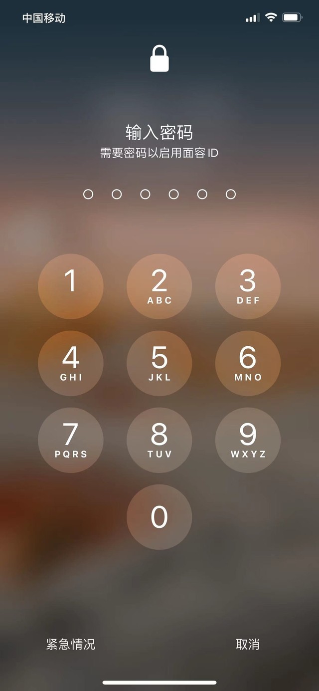 淮阳苹果13维修分享iPhone 13加强锁屏功能有什么用 