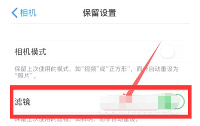 淮阳苹果13维修分享iPhone13拍照有绿点是怎么回事 