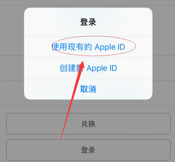 淮阳苹果手机维修分享两台iPhone设备可以同时登录一个Apple ID吗 