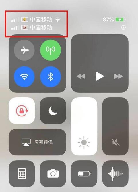 淮阳苹果手机维修分享为 iPhone 12 双卡设置标签 
