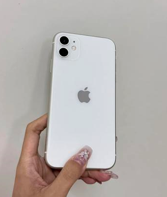 淮阳苹果维修点分享iPhone 11黑屏特殊场景解析 